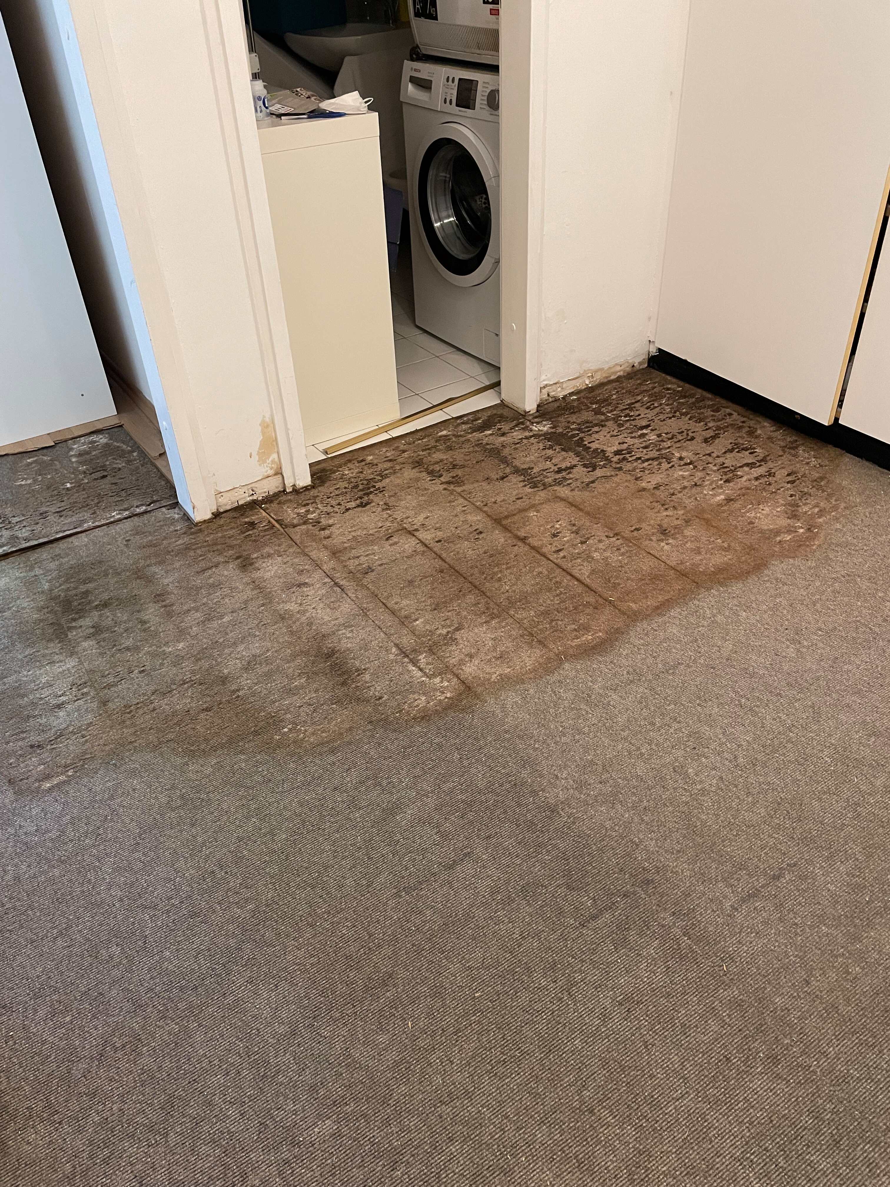 Perfekt vorbereiteter Untergrund