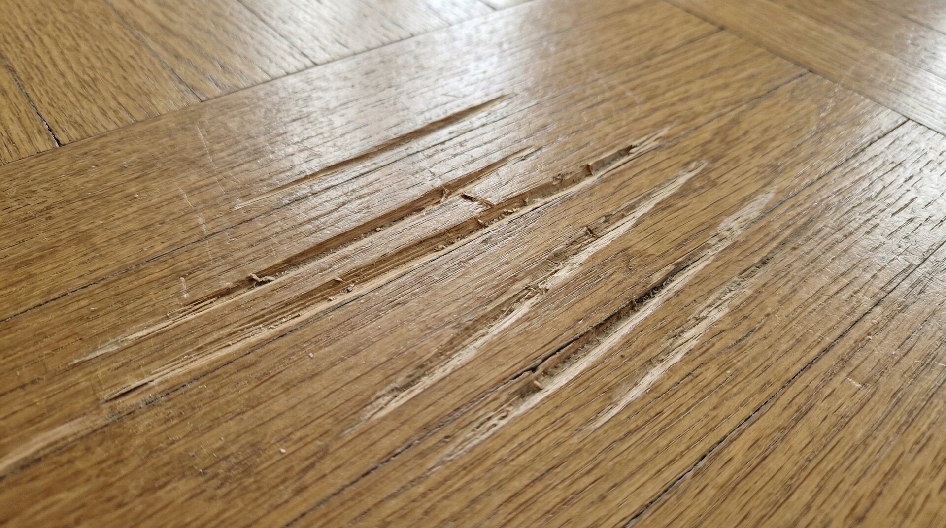 Trocknungsgeräte im Einsatz